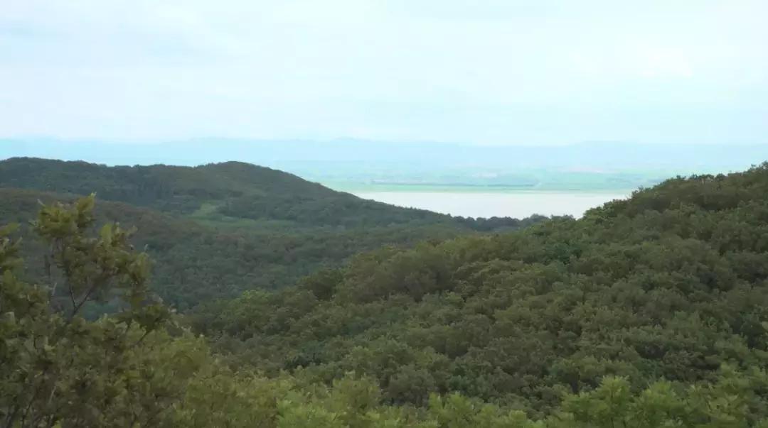 莲花山买房好吗,莲花山旅游度假区适合买房