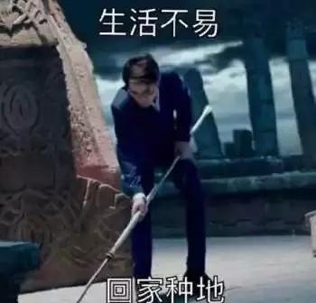 自从迷上*戏调**某宝客服后,我不会说话的毛病就被治好了