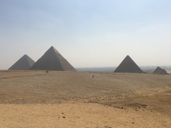 年少时的梦原文朗读,年幼时的梦