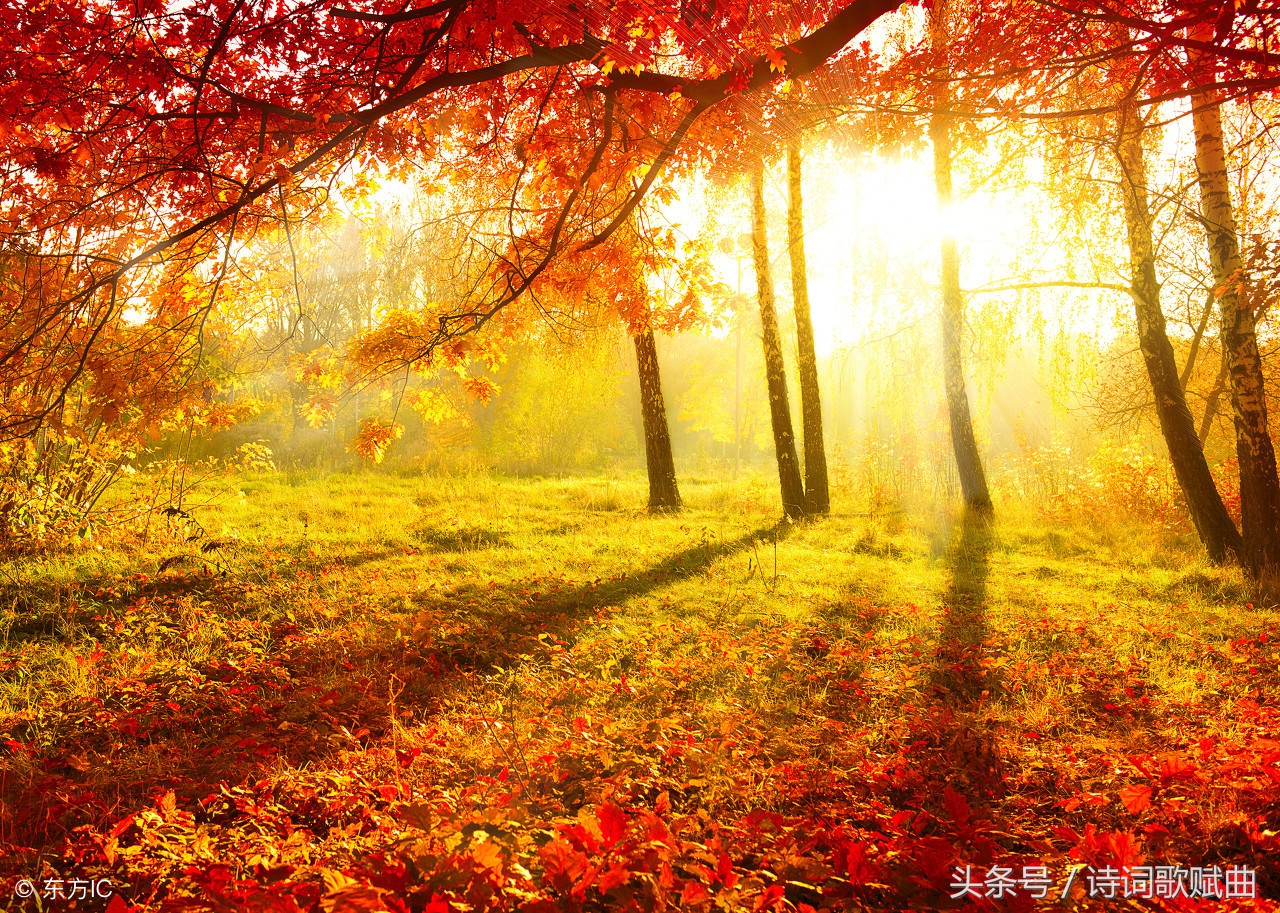 描写秋天的诗最简单的15首,描写秋天的诗句和古诗文