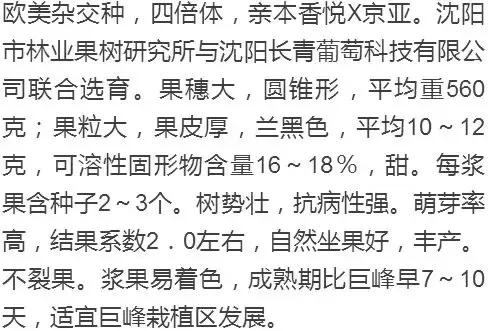 好种又好卖的15个葡萄品种,好种的葡萄苗