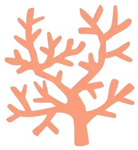 厦大研究生读几年,来厦大读硕士研究生