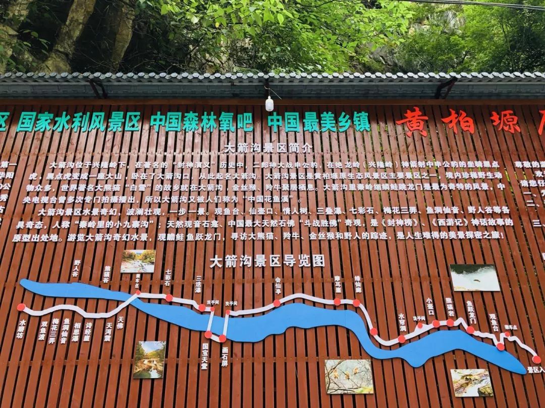 柚子说：松鼠我都没看见，熊猫也没有看见