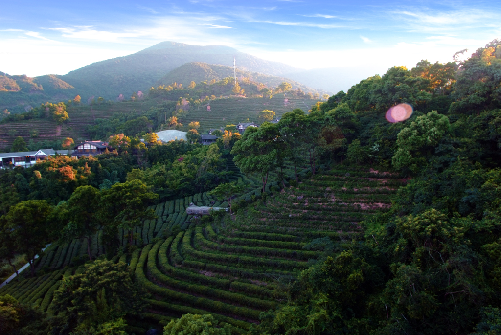 深圳东部华侨城简介,深圳东部华侨城大峡谷