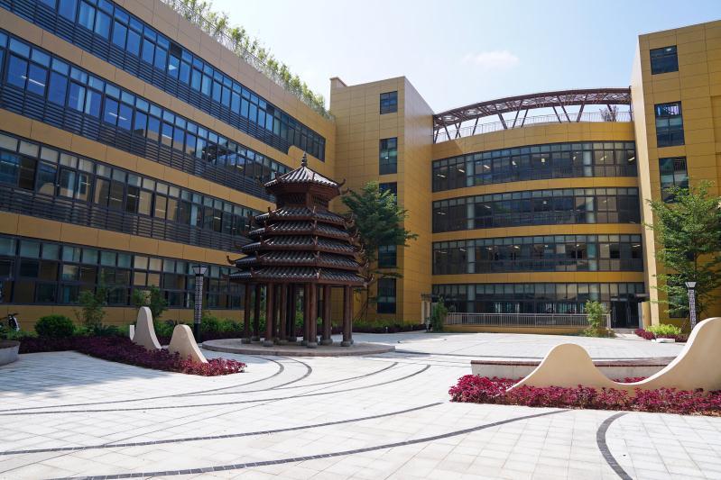 广西壮医国际医院预约及挂号,广西国际壮医医院开业