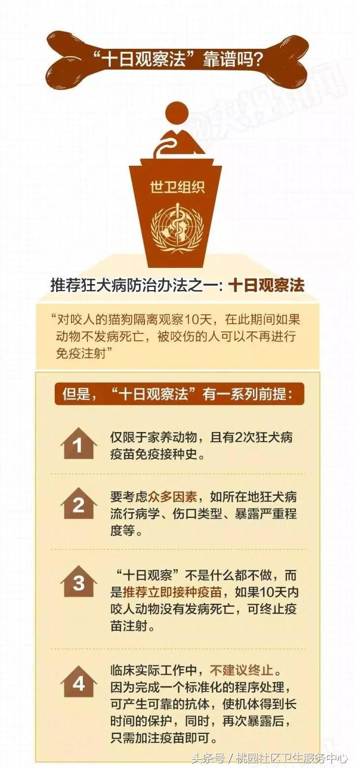 被狂犬病的狗咬伤得病的几率多大,被狗抓伤如何预防狂犬病