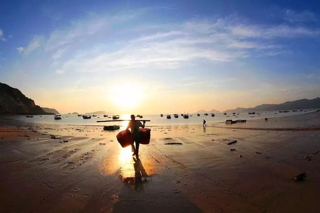 为妻子买保险骗保3000多万,为女友诈骗500万