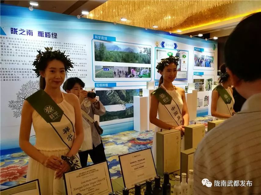 今生广种橄榄树，来世还做陇南人！