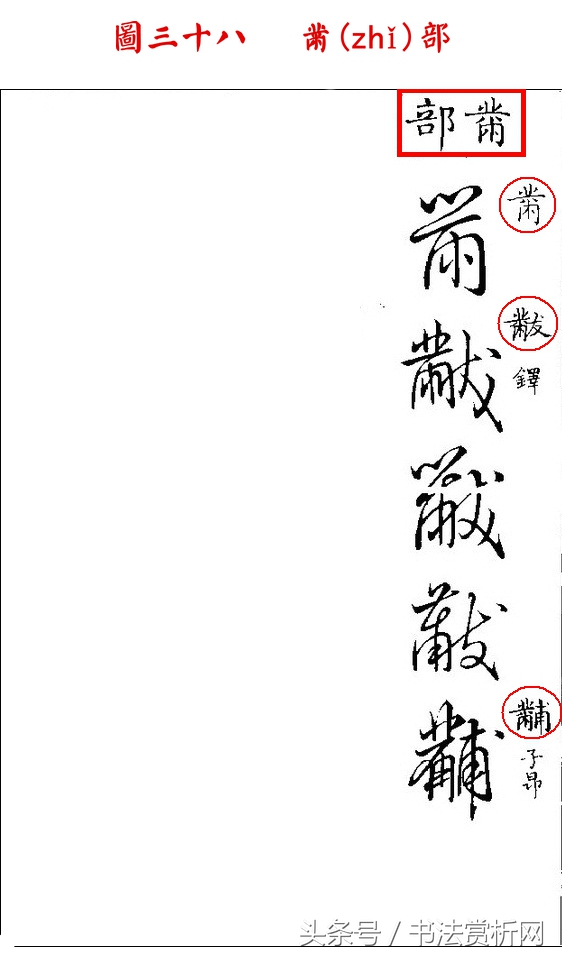 书法欣赏草书名家作品赏析,历代草书名家草体总汇之六