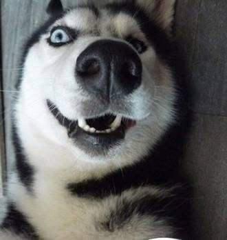 你今天笑了吗笑脸图片,你今天笑了没图片