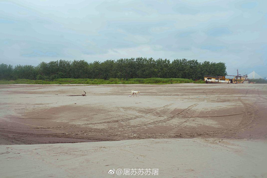 武汉一日游必去十大免费景点,武汉周边免费一日游自驾哪里好玩