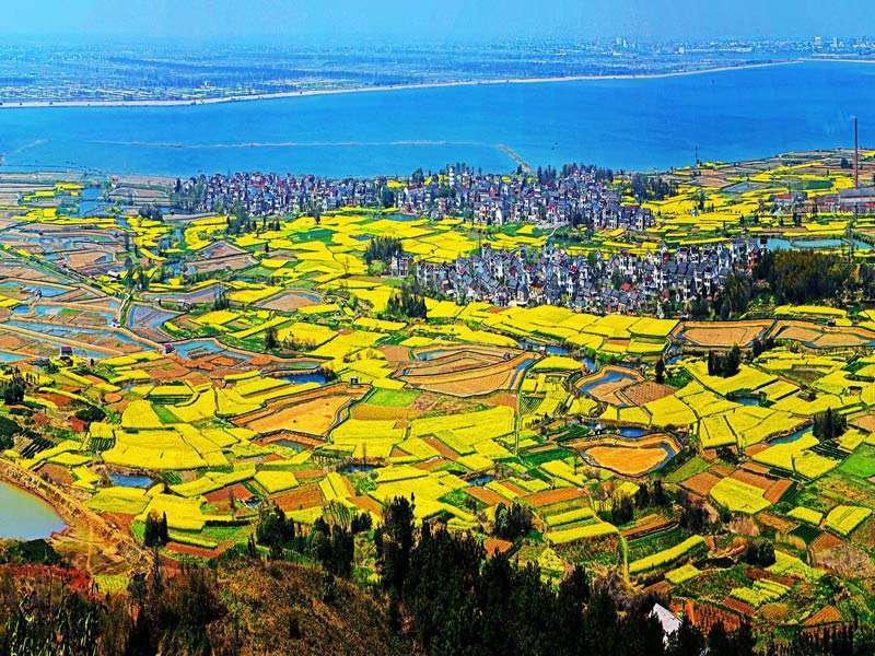 秋风起兮蟹脚痒，菊花开兮闻蟹香，秋日来南京赴场螃蟹之约