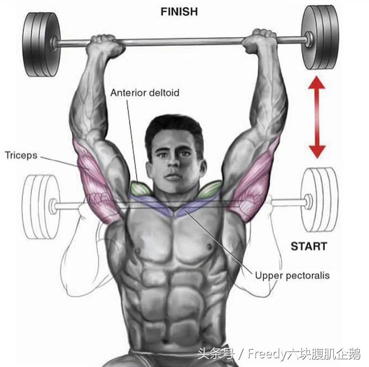 三角肌前束怎么练都练不出饱满,三角肌后束怎么练呢