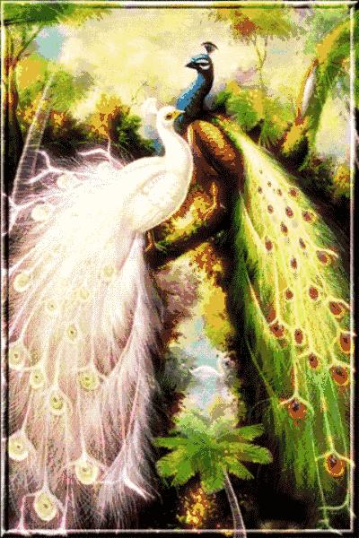 会动的漂亮图片,会动的图片十张