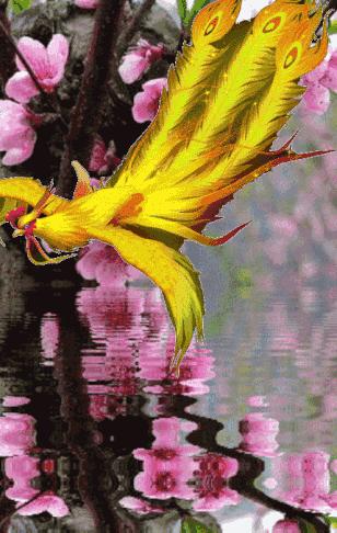 会动的漂亮图片,会动的图片十张