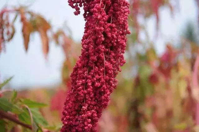 秦岚护肤日常,秦岚的护肤日常