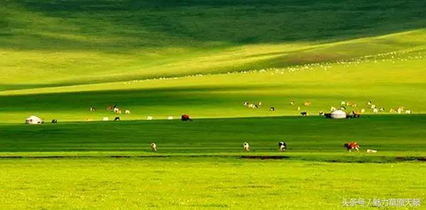 一座去了不想走的城市成都,一座去了还想去的城