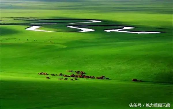 一座去了不想走的城市成都,一座去了还想去的城