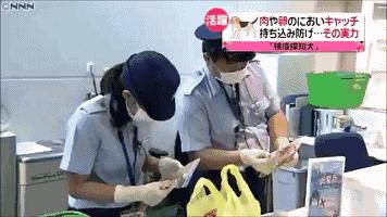 日本入境可以带方便面吗,到日本不能带什么