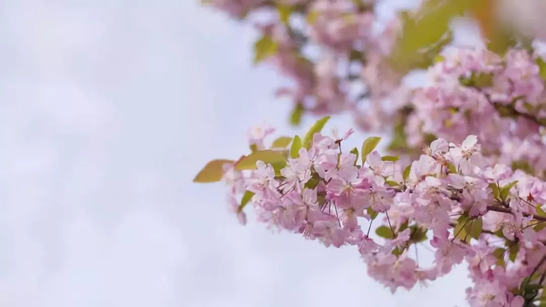 比二本线高一点的学校,比二本线多1分的本科能被录取吗