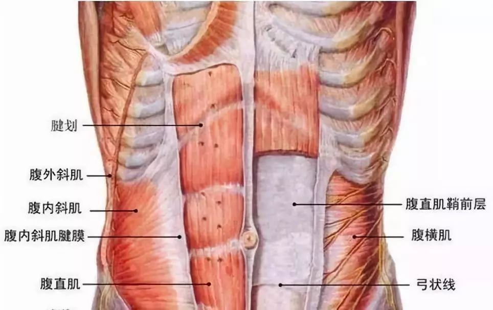 5个平板支撑核心动作你值得拥有,核心强化平板支撑
