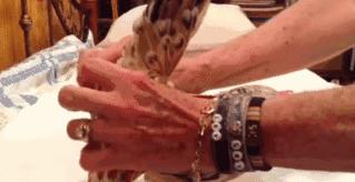 越来越多人养鸡当宠物，有人卖鸡尿布发财了……