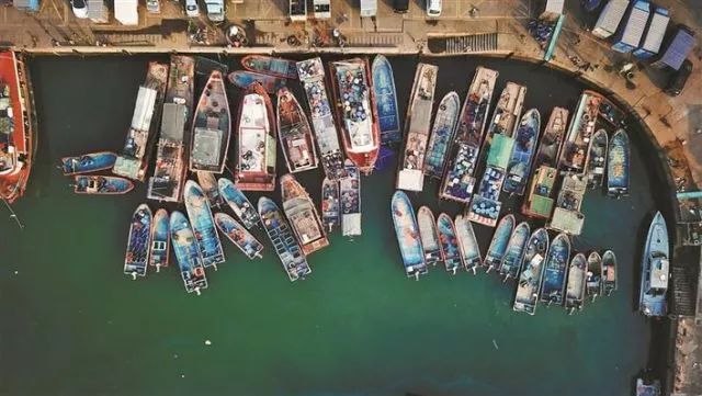 深圳失去双臂,深圳现状是什么