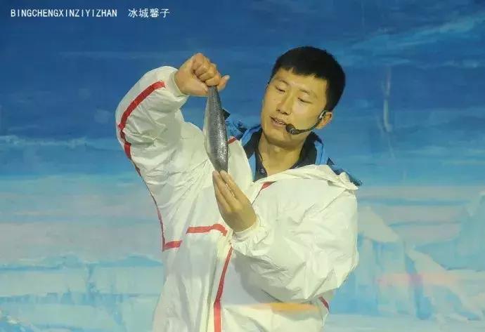 哈尔滨极地公园极地馆时间,哈尔滨极地公园和极地馆区别