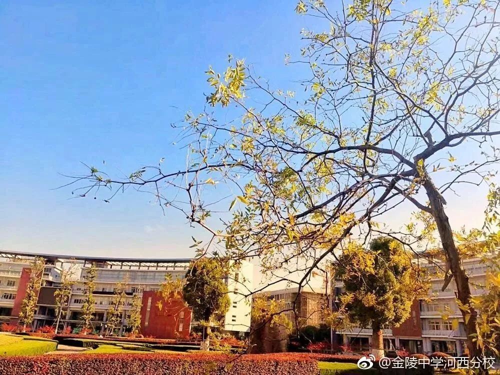 金陵中学河西分校和河西金陵中学,金陵中学河西分校是民办还是公办