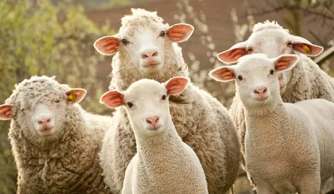 土耳其货币崩盘后怎么样了,土耳其货币崩盘买什么