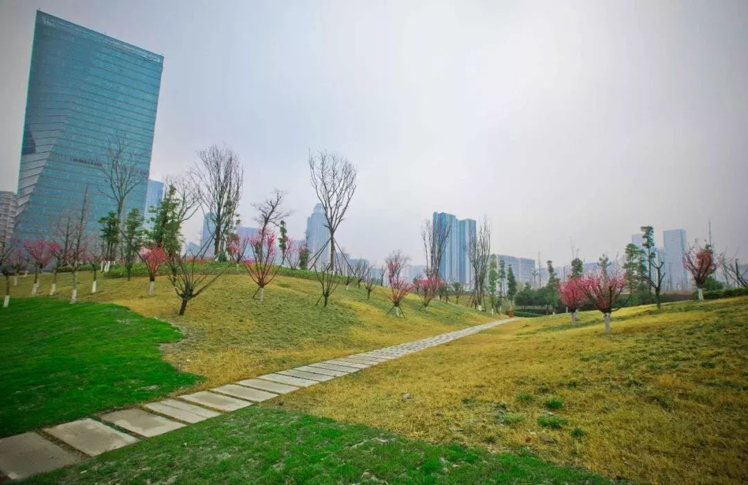 天府绿道跑步5小时,到天府绿道走一走