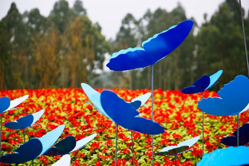 去天府绿道怎么走,去天府绿道需要做什么准备