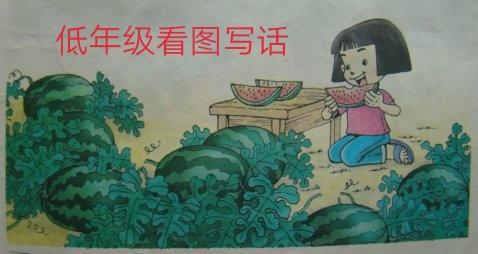 家长这样指导孩子看图写话,作文写得顶呱呱,孩子就是小作家