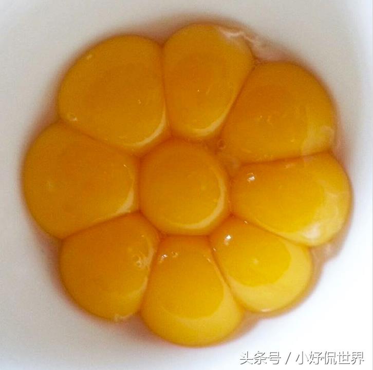 强迫症看了很舒服的100张图,密集强迫症照片