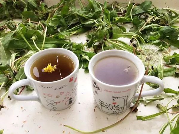 吉人返乡创业就业,吉人回乡创业怎么样