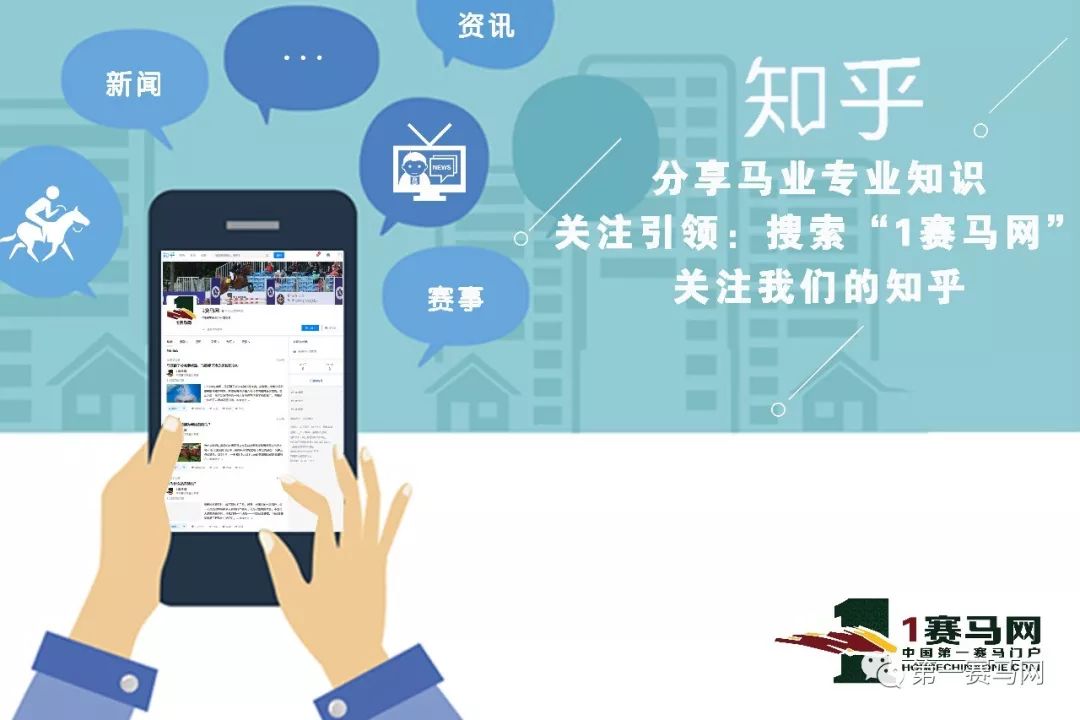 十余家马术俱乐部展开六个级别争夺，东北马术联赛第五站“跳”入辽宁省运会马术项目！