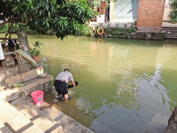 顺德逢简水乡出名小店,顺德逢简水乡属于哪个镇