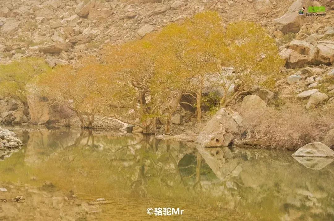 媲美川藏线的独库公路,能媲美独库公路的另一条小众公路