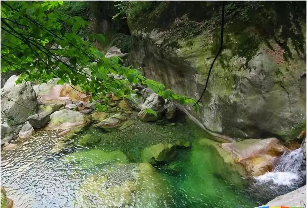 成都1.5h刹拢的山水宝地，集合n种清凉耍法，还可当天打来回！