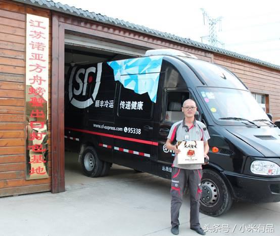 正宗阳澄湖大闸蟹到底长啥样,正宗阳澄湖大闸蟹到底什么样子