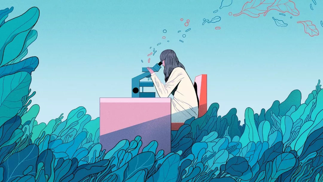 芬兰学校霸凌,瑞典反校园霸凌的措施