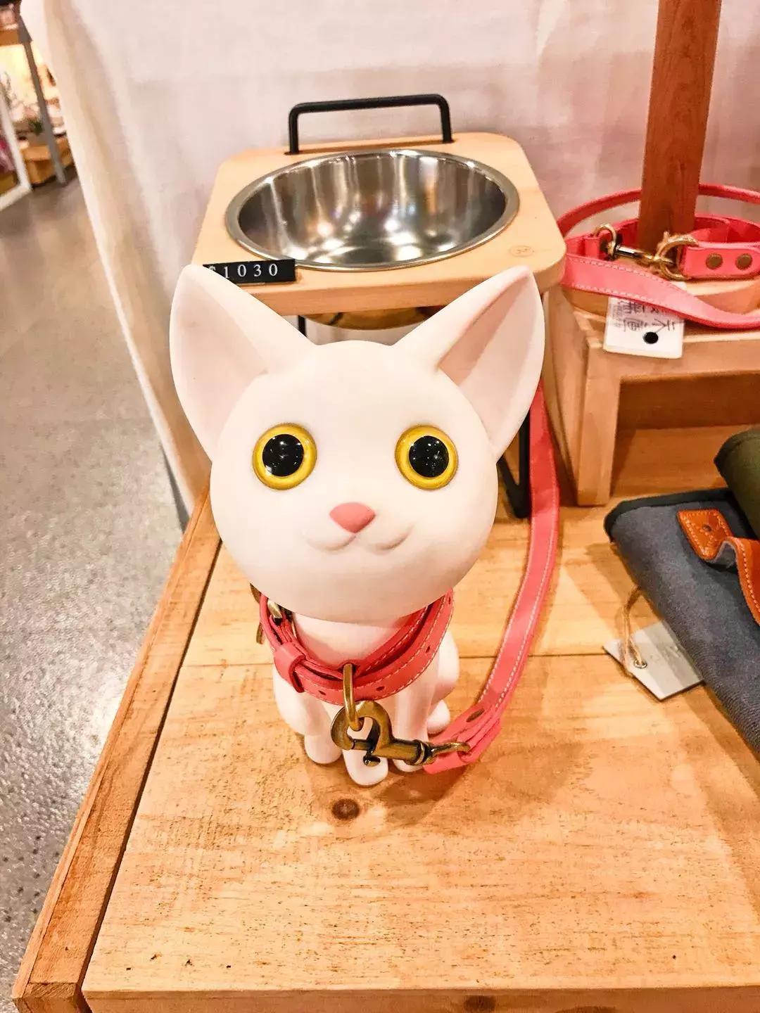 台北掏空了我的钱袋子