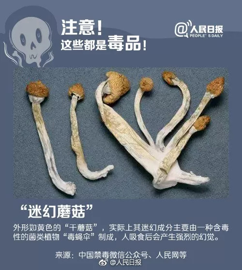 蓝精灵的危害有哪些,如何防范新型毒品蓝精灵的危害