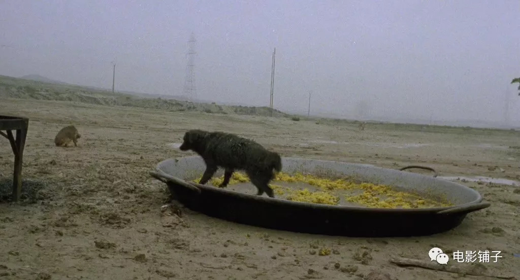 知音体伦理故事,被这片拍了出来