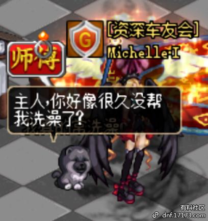 dnf宠物是什么动物,dnf宠物外形是龙的叫什么名字