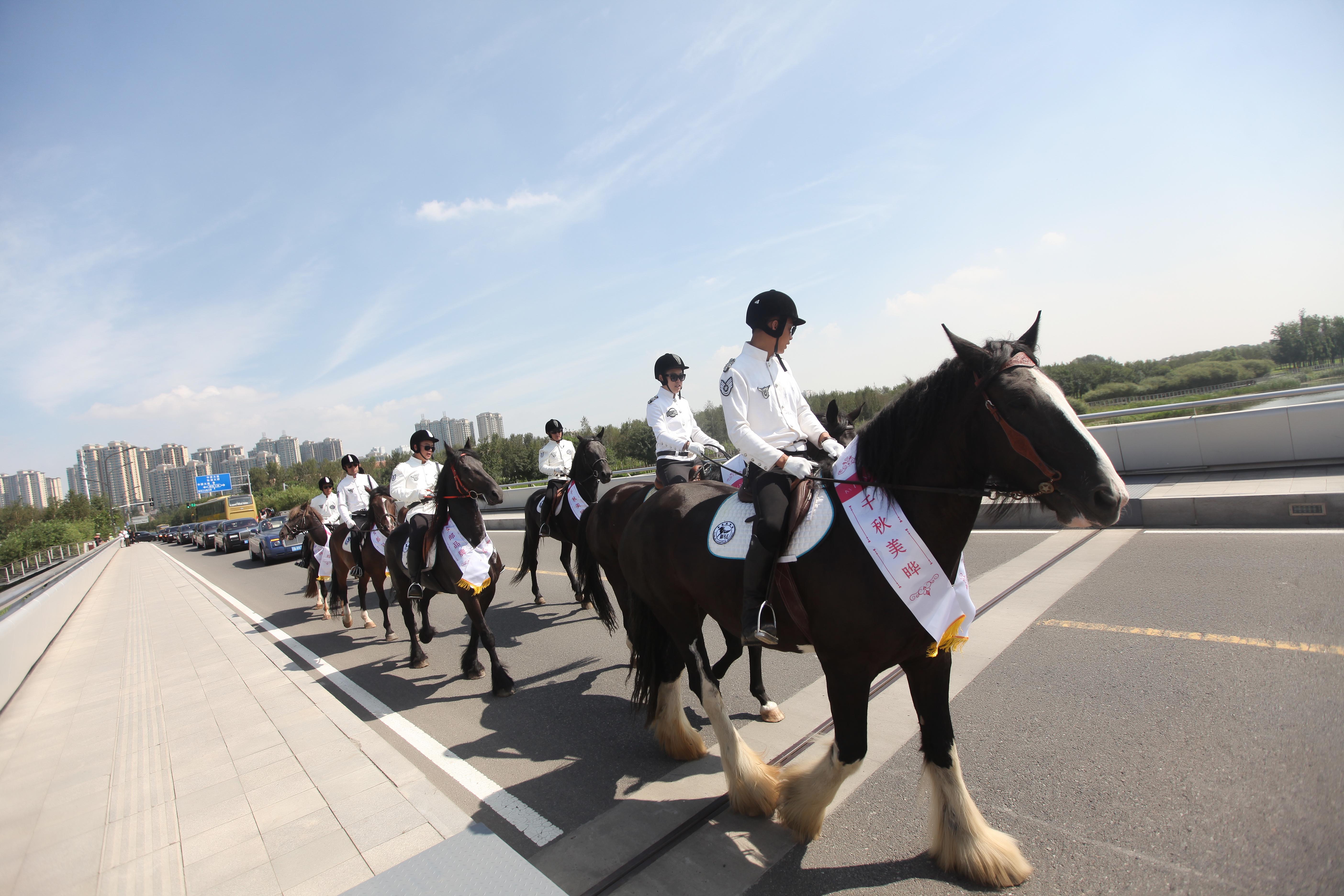传统营销转型微营销,传统行业如何微营销