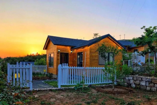 所有人周末陪伴孩子一起玩耍,一群人周末去玩什么