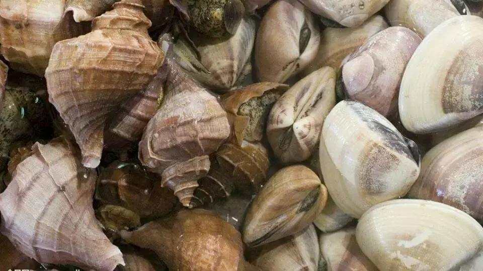 长春吃海鲜的地方排行榜,长春24小时自助吃海鲜的好地方