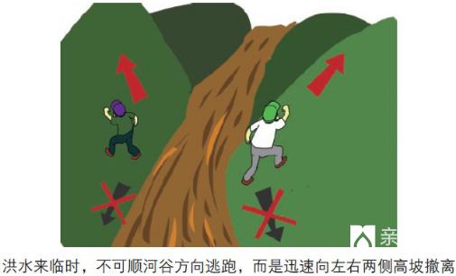 面对不断上涨的洪水怎么办,遇到上涨的洪水正确的自救方式