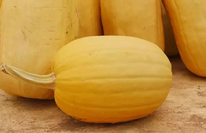 那些奇葩水果,哪些奇特的水果你吃过几种